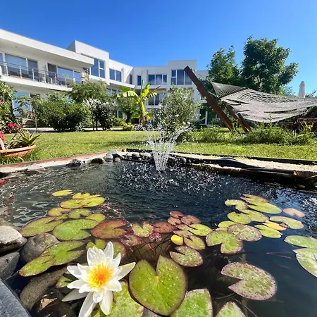 Ancient Well Resort